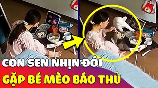 Vừa ăn vừa 'XEM PHIM', con Sen bị Hoàng Thượng 'TUNG CƯỚC' và cái kết nhịn đói 😂 Gâu Đần