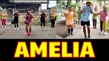 AMELIA (TIKTOK VIRAL) | Dj Danz Remix | Dance Fitness | by Team #1