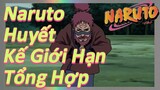 Naruto Huyết Kế Giới Hạn Tổng Hợp