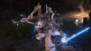 Demi-Human Chief x2 - Elden Ring
