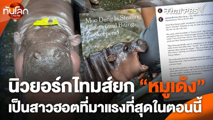 นิวยอร์กไทมส์ยก “หมูเด้ง” เป็นสาวฮอตที่มาแรงที่สุดในตอนนี้ | ทันโลก กับ Thai PBS | 25 ก.ย. 67