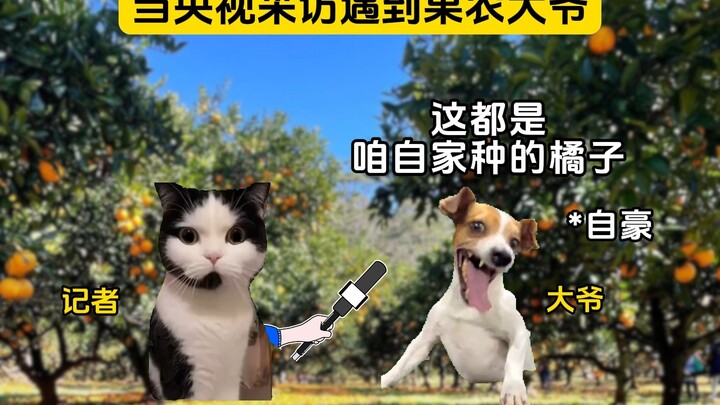 大爷：生怕你摘到甜的