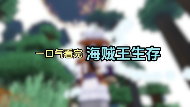 一口气看完海贼王生存
