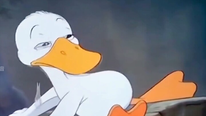 Funny dubbing: It's really hard for the little duck to find his mother, the name of Lao Tie is reall