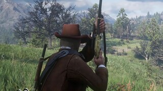 [Red Dead Redemption 2] Beberapa operasi yang sangat keren