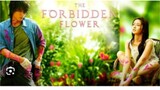 THE FORBIDDEN FLOWER Episode 4 Tagalog Dubbed