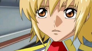 Gundam Seed Episode 39