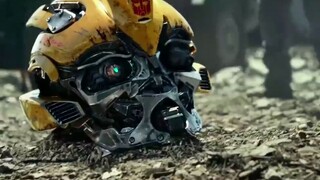 【Transformers】 Bumblebee đoàn tụ sau khi bị xé xác.
