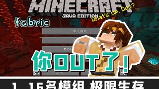 我的世界 你OUT了 1.16 多模组极限生存