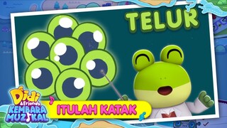 Itulah Katak I Lagu Terbaharu Musim Ketujuh I Didi & Friends Kembara Muzikal