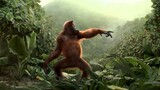 Monkey budots dance
