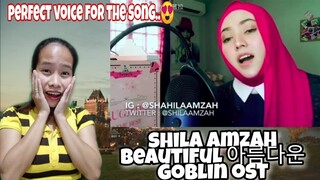 Shila Amzah- Beautiful (Goblin ost)