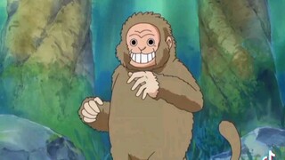 monkeys😊 just like luffy's first name Monkey D. Luffy and monkeys eat pineapple😏😏