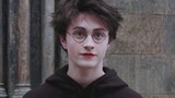 [HP/Danniu] How come there are so few people who like Harry! ?