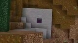 Which one is the Best Seed?(Video not mine)