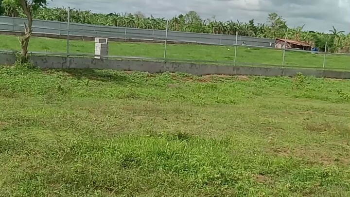 lot for rent