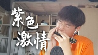 宿舍没人，吹个口琴，紫色激情