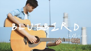 【指弹】蓝鸟《Bluebird》伍伍慧cover-吉他指弹演示-大树音乐屋