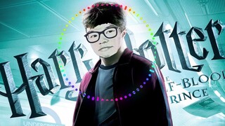 Harry Potter theme song remix