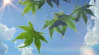 MAD-AMV|Cuplikan Animasi Makoto Shinkai X Hayao Miyazaki