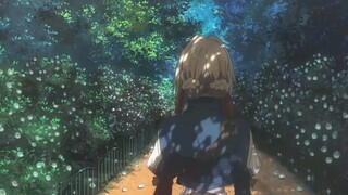 Anime Amv/ violet garden hành trình của violet