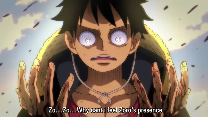 Luffy Finds Out Zoro Is Dead - One Piece
