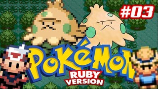 Pokémon Ruby #03 - Rota 104, passando para chegar em Rustboro.