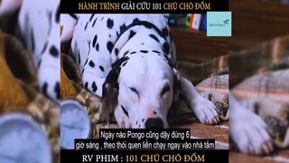 Tóm tắt phim: 101 chú chó đốm #reviewphimhay