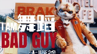 【BAD GUY】 演武不坏你们不爱？