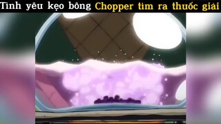 Tình yêu kẹo bông Chopper tìm ra thuốc giải