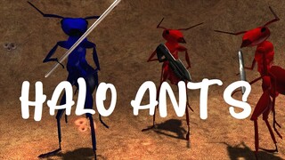 Halo MP Capture The Flag with Ants