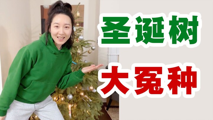 我再也不买真圣诞树了