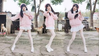 乡 村 宅 舞