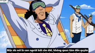 Bí Ẩn Về Cựu Đô Đốc Aokiji Nguồn Gốc Sức Mạnh Tiền Truy Nã p8