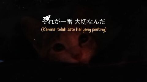 kiyowo
