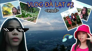 Vlog Đà Lạt #2 - Đi Chơi Khắp Nơi Siêu Thú Dị :))