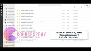 Tina Lee - Full-Time Influencer