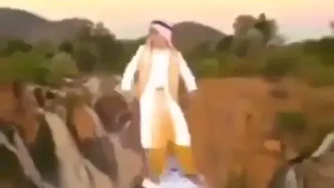 If Alladin was a real Arabian
