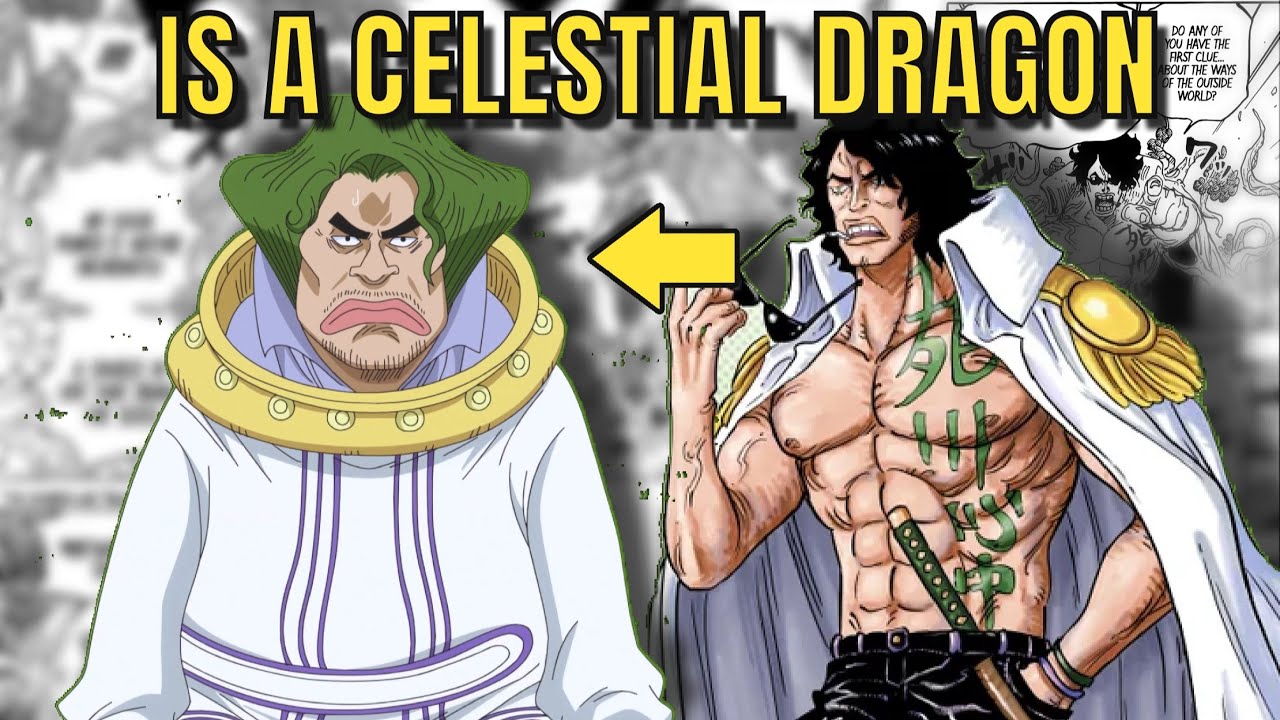 Celestial Dragon One Piece