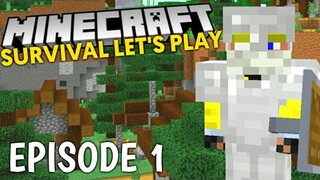 SO MANY IRON!!! | Minecraft Survival Let's Play (Filipino) | Episode 1