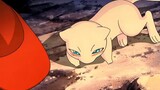 [Pokémon yêu tinh] Sau khi Mengmeng giải cứu Xiaozhi, cơ thể của cậu ấy ngay lập tức có vấn đề