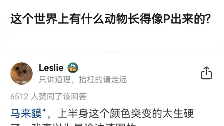 这个世界上有什么动物长得像P出来的？