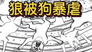 "Trận chiến ngoài hành tinh đích thực" 11 cuộc chiến giữa sói và chó, sói và chó, mỗi người đều có n