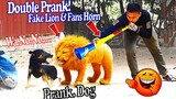 Fake Tiger Vs Dog Prank 2020 | Must Watch New Prank -Try To Not Laugh Challenge Fake Lion Prank Dogs