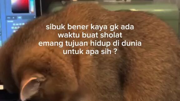 sesibuk apa sampai ga sholat