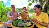 Khi Người Thái Review Ăn Sống Lá Sầu Đâu Siêu Đắng Và Nói Tiếng Việt Cười Xỉu | Bé Nan