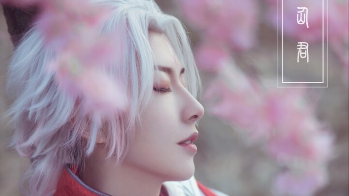 [White Valentine's Day cos feature] Wuling Xianjun Zhuge Liang