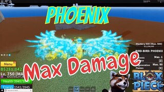 Sức Mạnh Của Bird-Bird: Phoenix  Khi Đạt 500 mastery + 750 Điểm Stats Sẽ Khủng Khiếp Đến Mức Nào ???