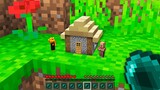 Who BUILT A TINY HOUSE in Minecraft ? What's INSIDE the SMALLEST HOUSE ?