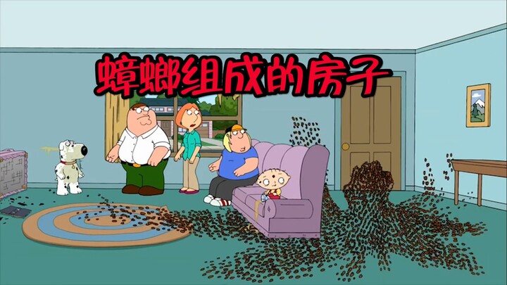 恶搞之家：70%由蟑螂组成的房子，赶走蟑螂马上塌房